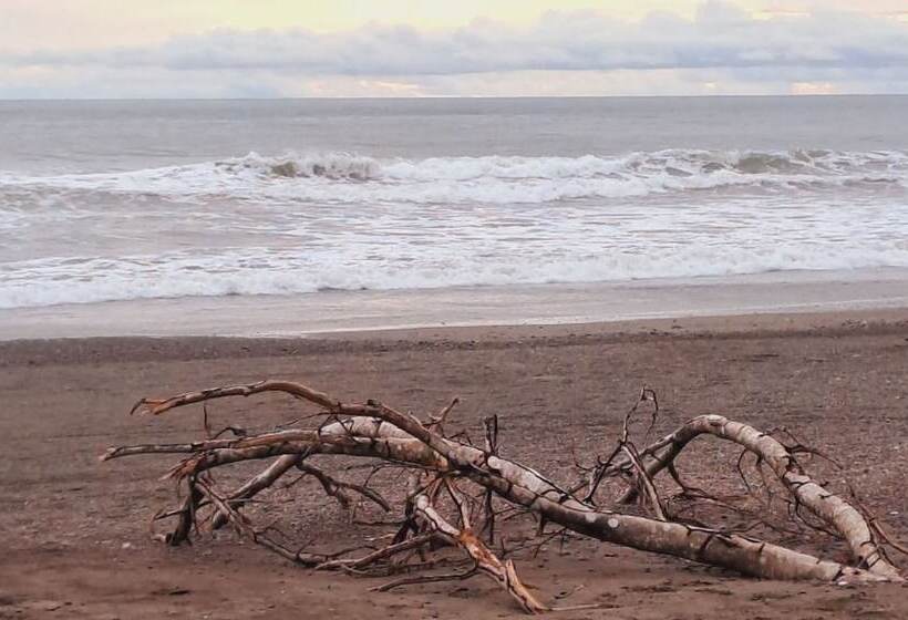 هتل Tropical Garden