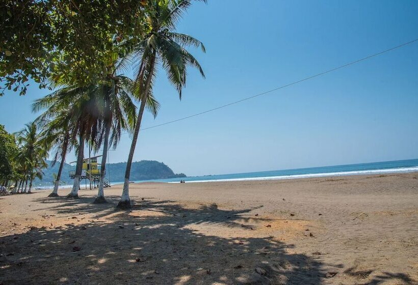 هتل Tropical Garden