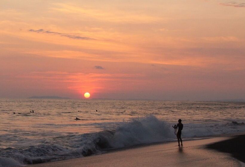 هتل Tropical Garden