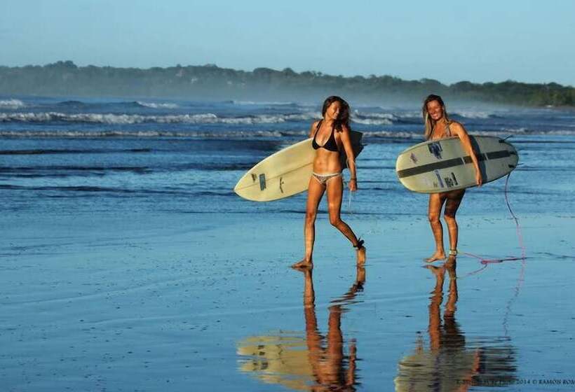 هتل Tropical Garden