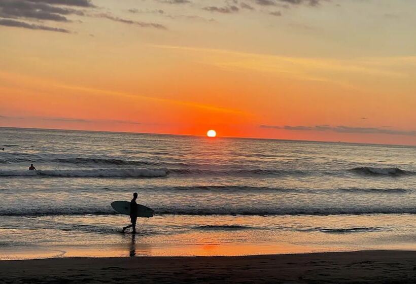 هتل Tropical Garden