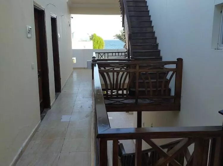 تختخواب و صبحانه Sababa Hotel Dahab