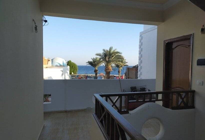تختخواب و صبحانه Sababa Hotel Dahab
