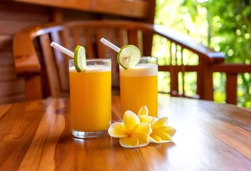 تختخواب و صبحانه The Soggol Lembongan
