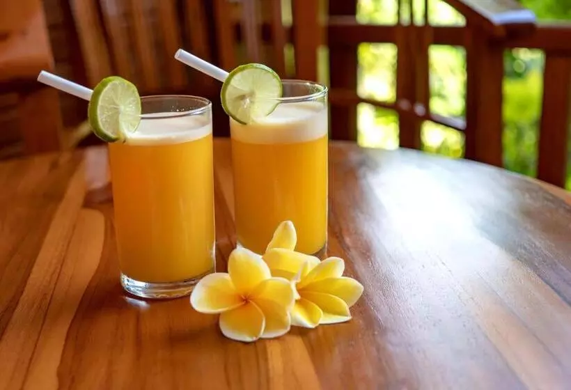 تختخواب و صبحانه The Soggol Lembongan