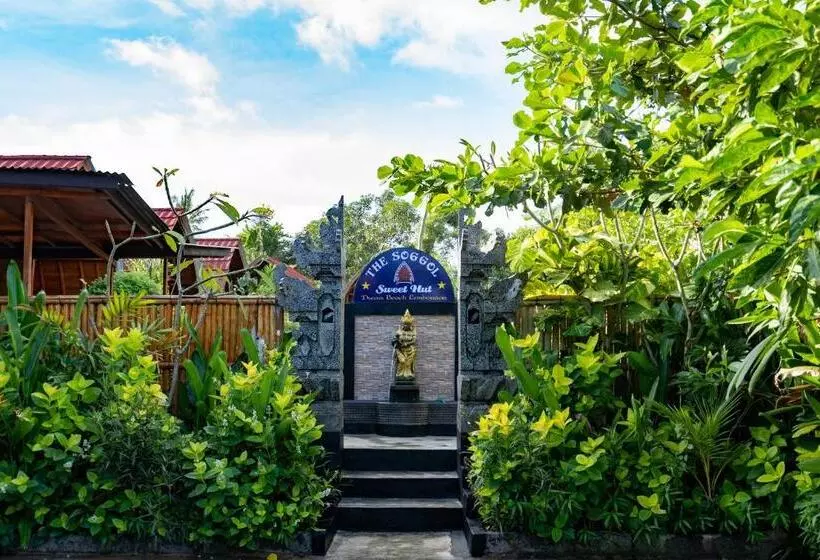 تختخواب و صبحانه The Soggol Lembongan