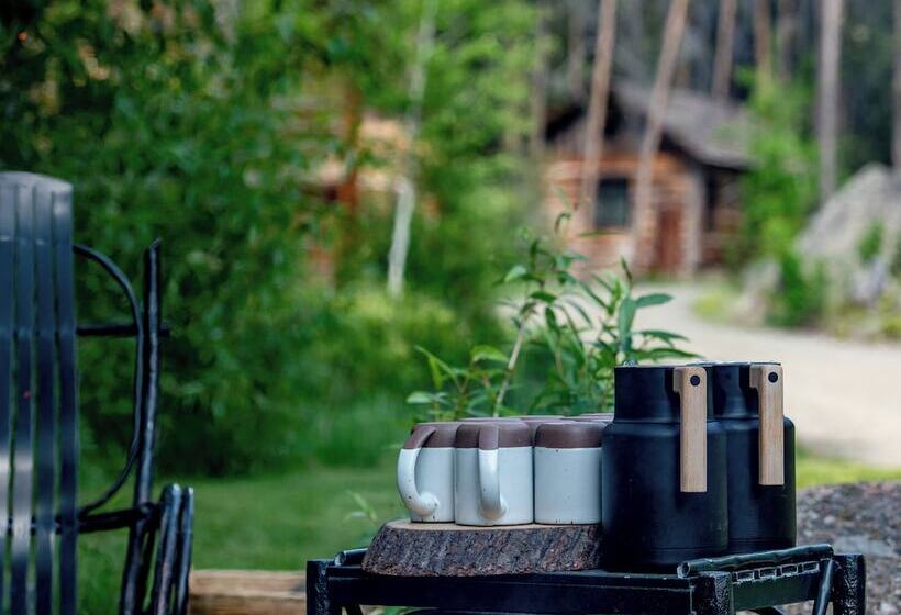 호텔 Eleven Taylor River Lodge