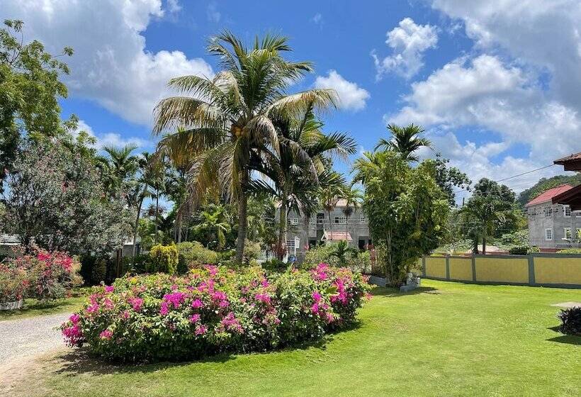 پانسیون Little Shaw Park Guest House