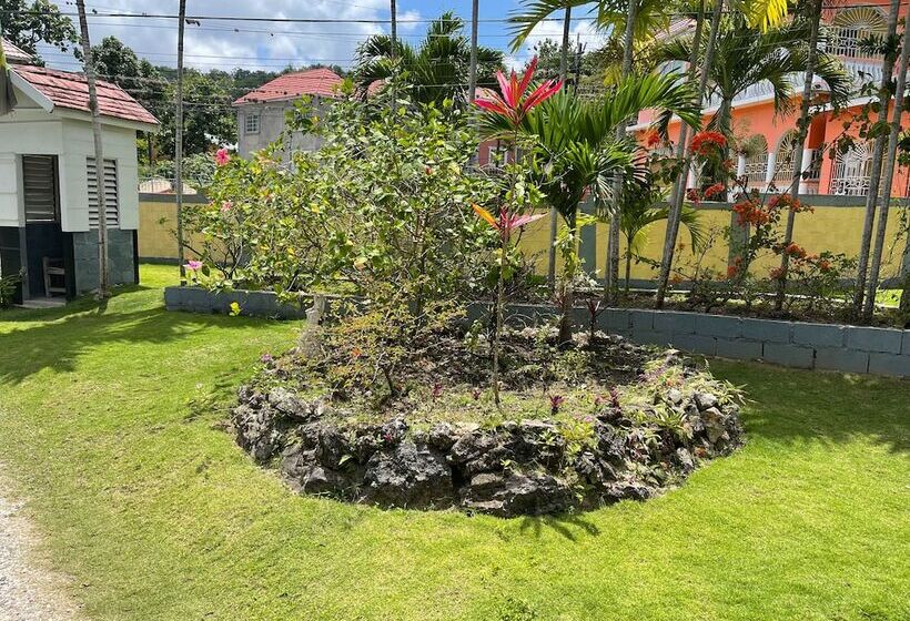 پانسیون Little Shaw Park Guest House