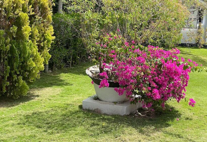 پانسیون Little Shaw Park Guest House