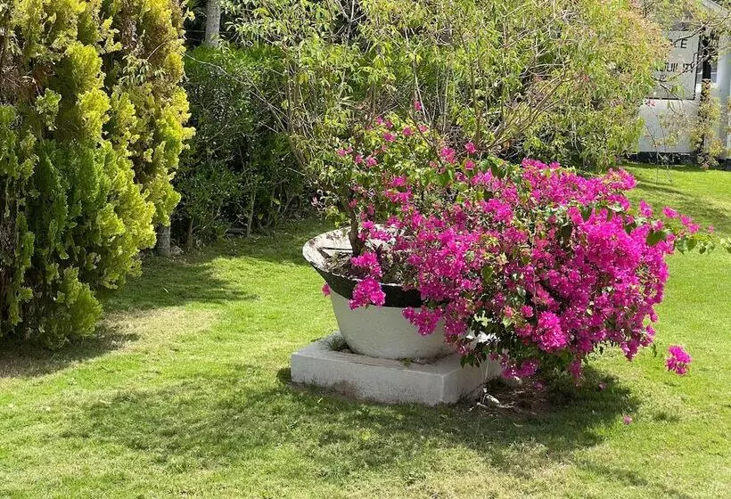 پانسیون Little Shaw Park Guest House