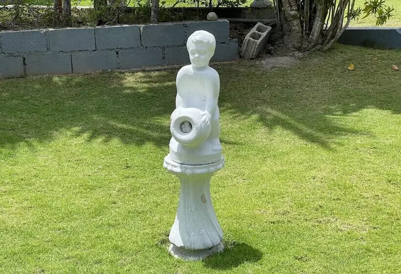 پانسیون Little Shaw Park Guest House