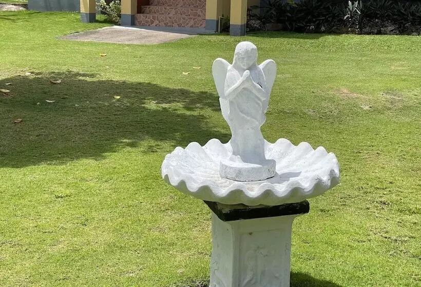 پانسیون Little Shaw Park Guest House