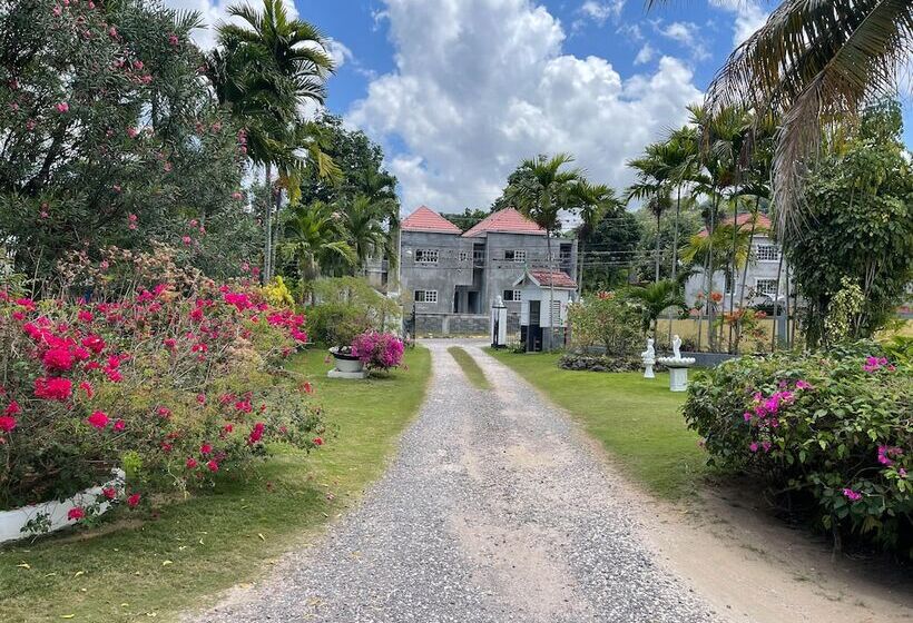 پانسیون Little Shaw Park Guest House