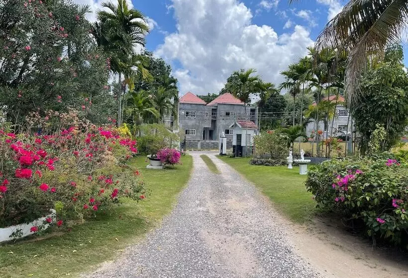 پانسیون Little Shaw Park Guest House