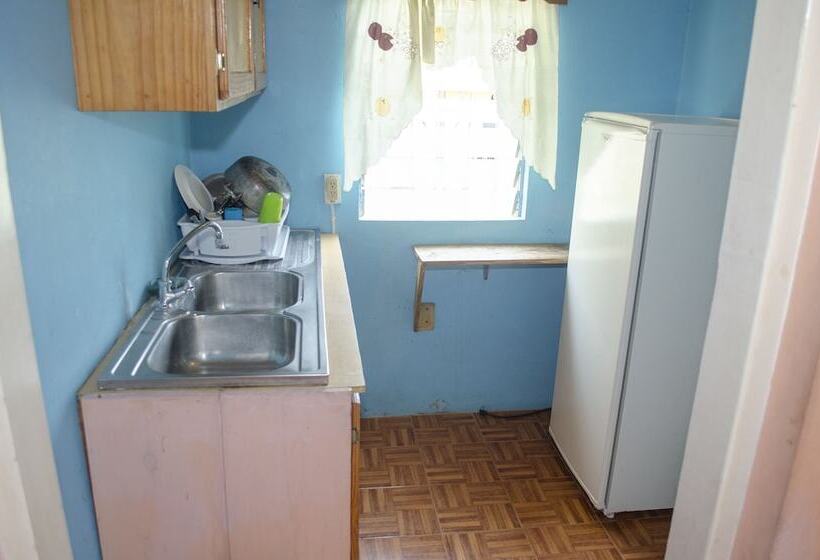 پانسیون Little Shaw Park Guest House