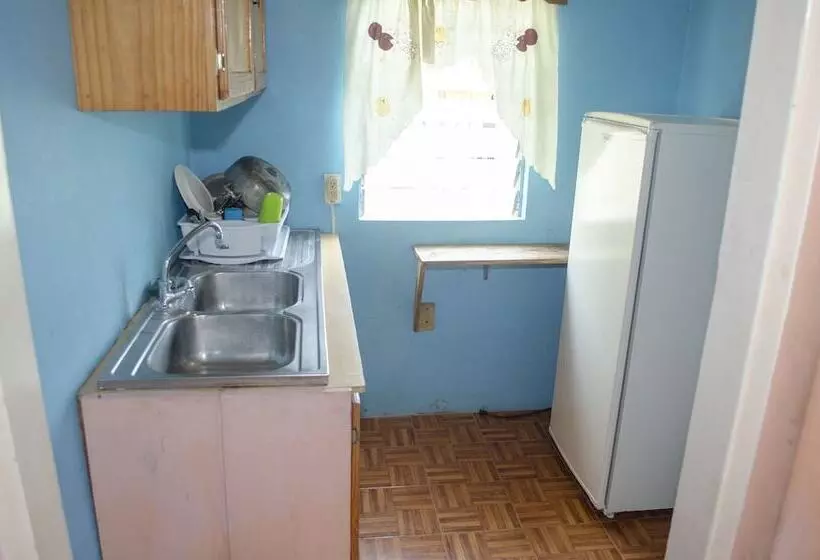 پانسیون Little Shaw Park Guest House