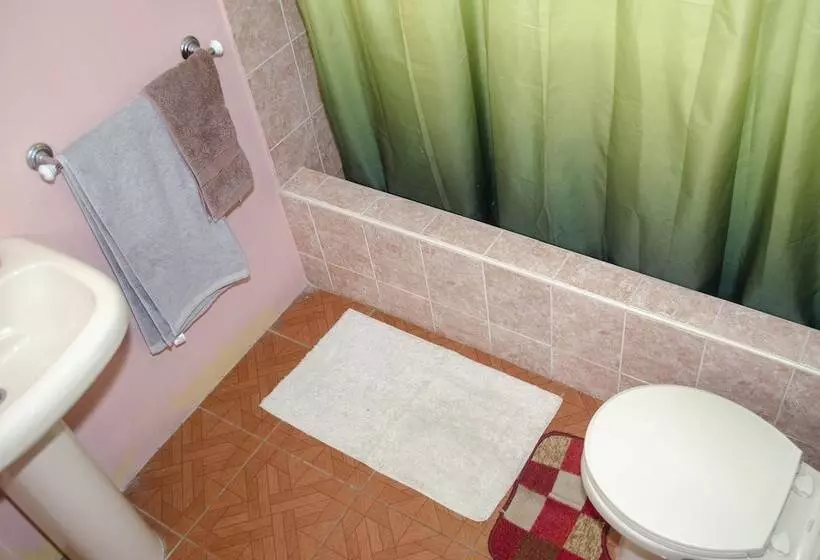 پانسیون Little Shaw Park Guest House