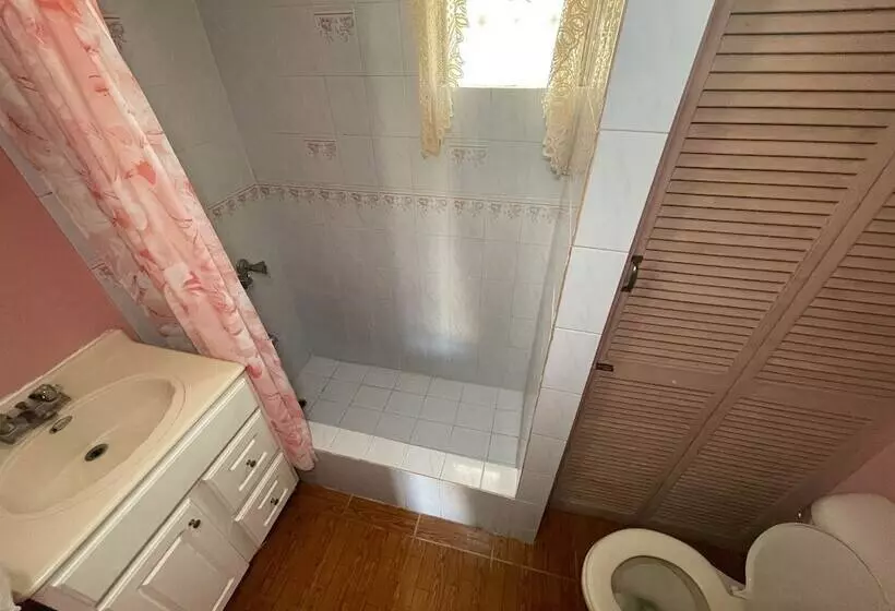 پانسیون Little Shaw Park Guest House