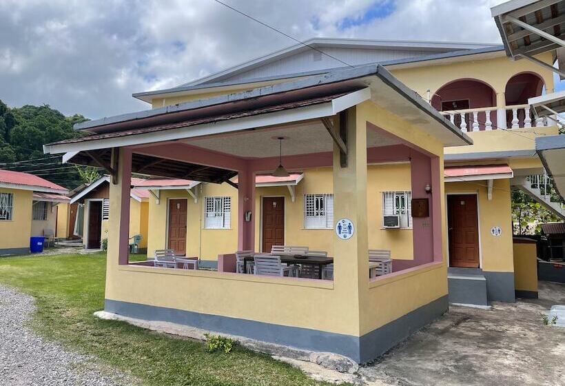 پانسیون Little Shaw Park Guest House