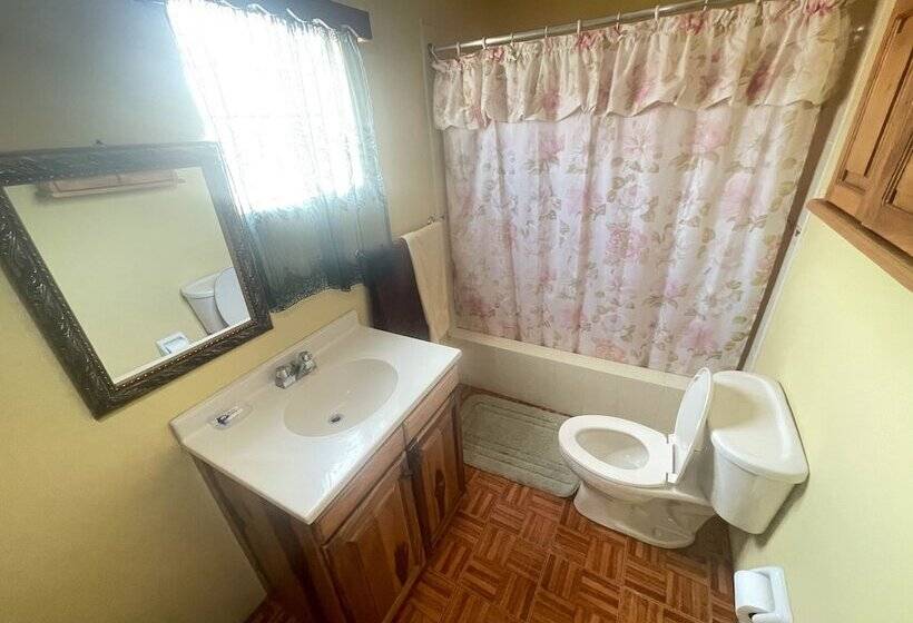 پانسیون Little Shaw Park Guest House