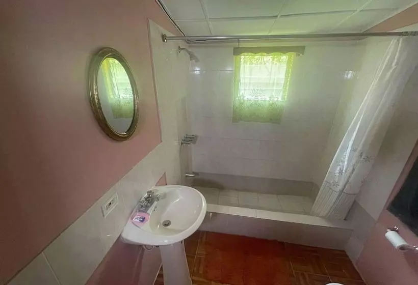 پانسیون Little Shaw Park Guest House