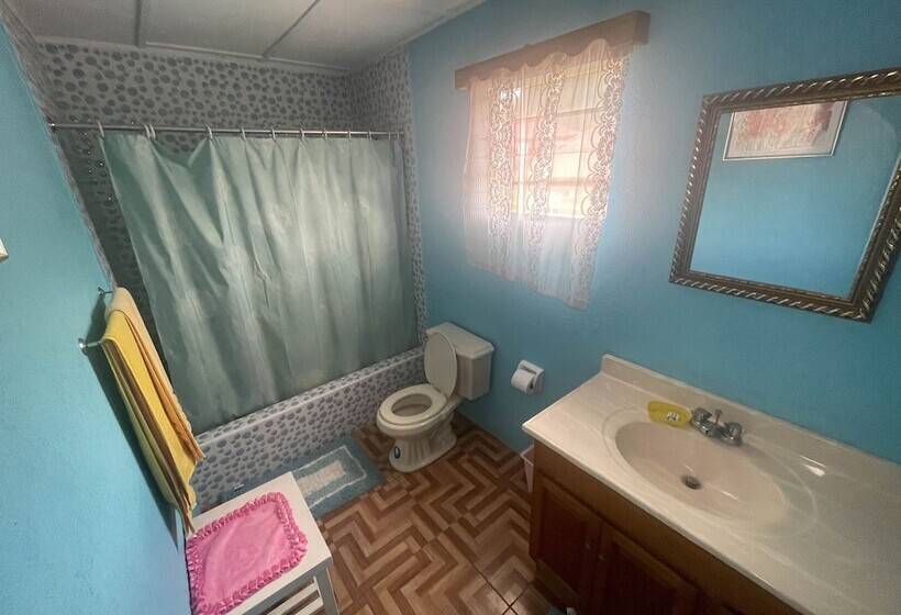 پانسیون Little Shaw Park Guest House