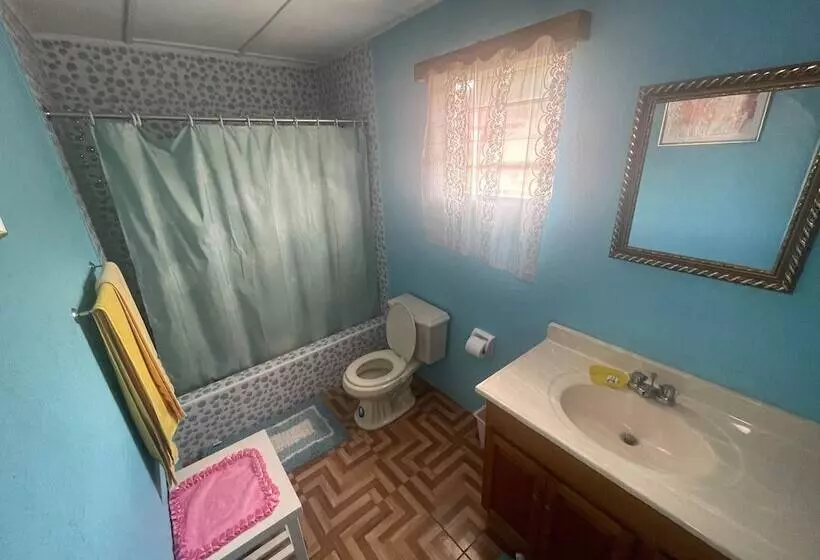 پانسیون Little Shaw Park Guest House