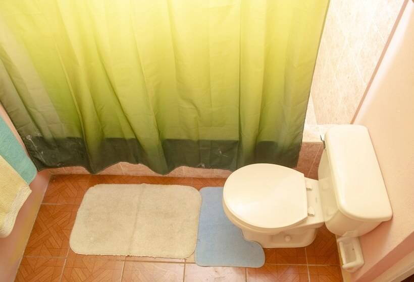 پانسیون Little Shaw Park Guest House