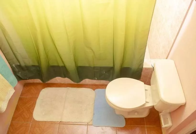 پانسیون Little Shaw Park Guest House