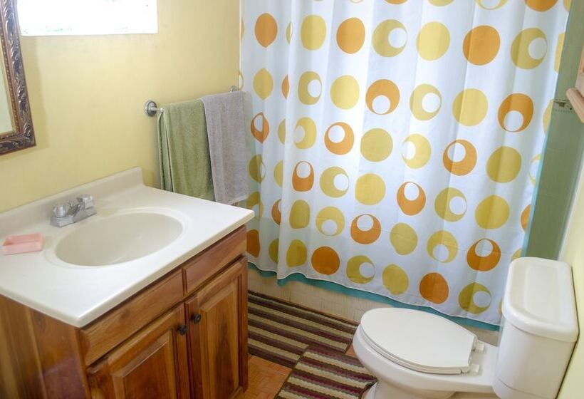 پانسیون Little Shaw Park Guest House