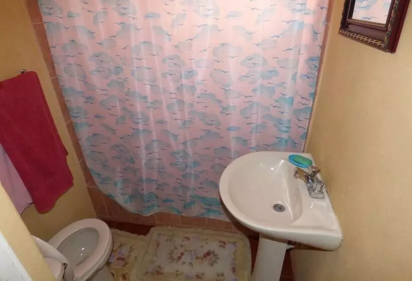 پانسیون Little Shaw Park Guest House