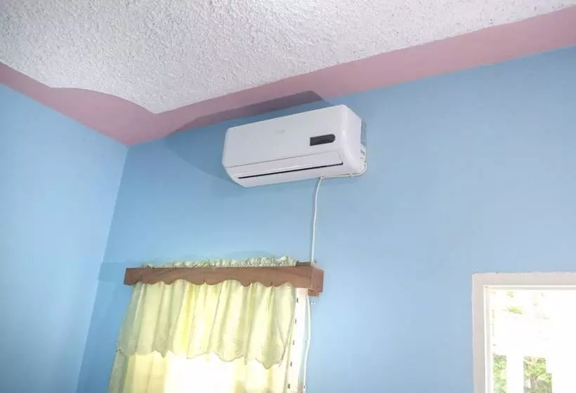 پانسیون Little Shaw Park Guest House