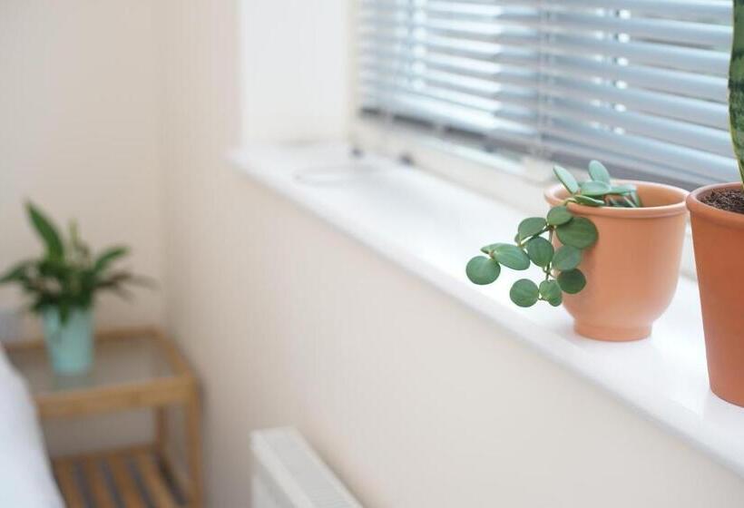 تختخواب و صبحانه Bristol Bnb