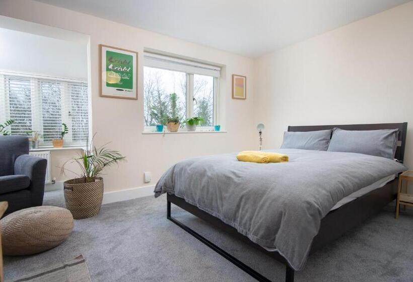 تختخواب و صبحانه Bristol Bnb