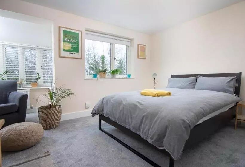 تختخواب و صبحانه Bristol Bnb