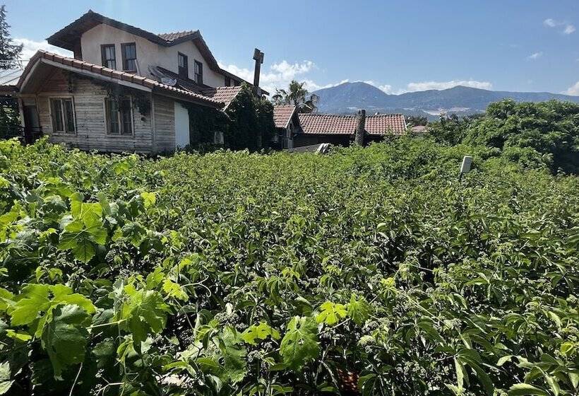 پانسیون Koyevi Olympos Countryhouse