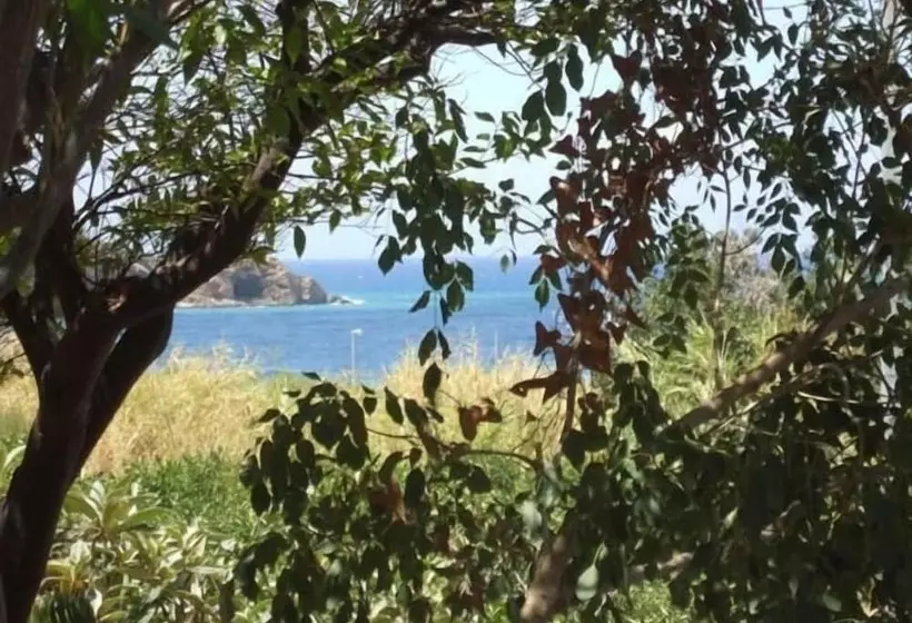 تختخواب و صبحانه Holidays Cefalù