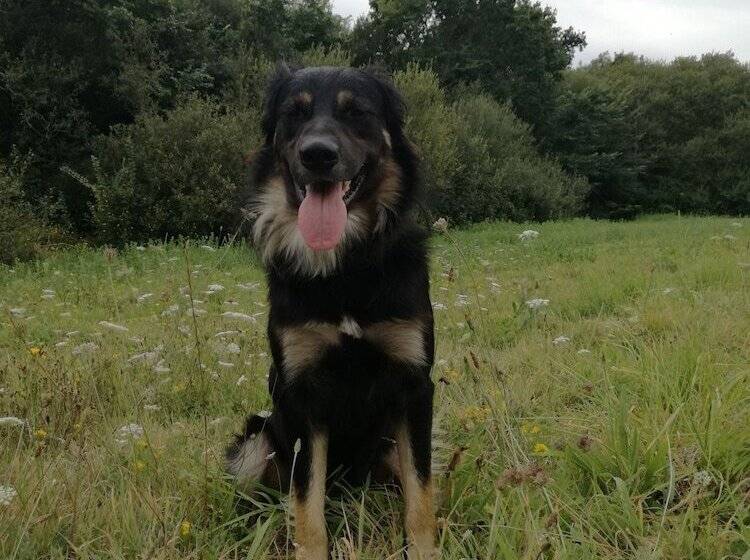 Camping Les Peupliers