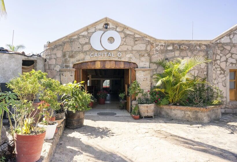 Capital O Hotel Posada Terraza, Guadalajara