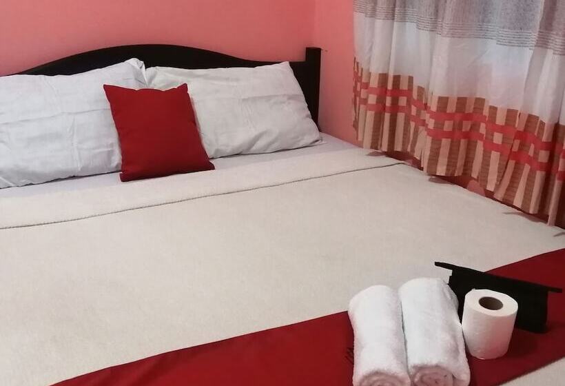 Colors Boutique Hostel