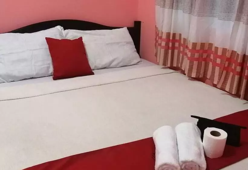 Colors Boutique Hostel