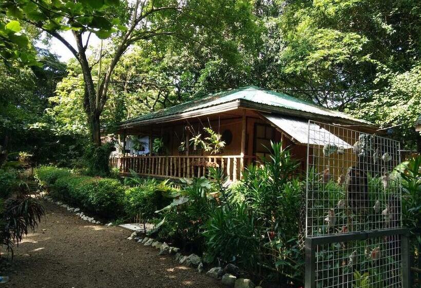 Pensiune Nelly's Nipa Hut