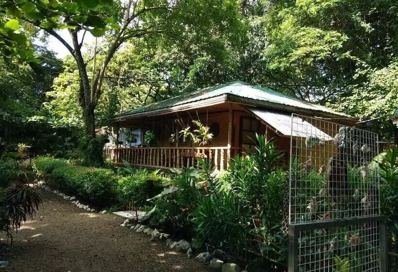 پانسیون Nelly's Nipa Hut