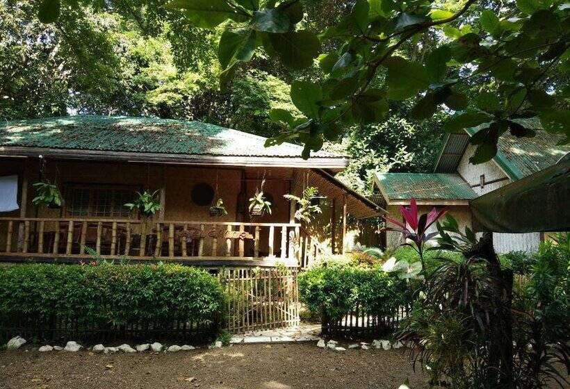 Pensiune Nelly's Nipa Hut