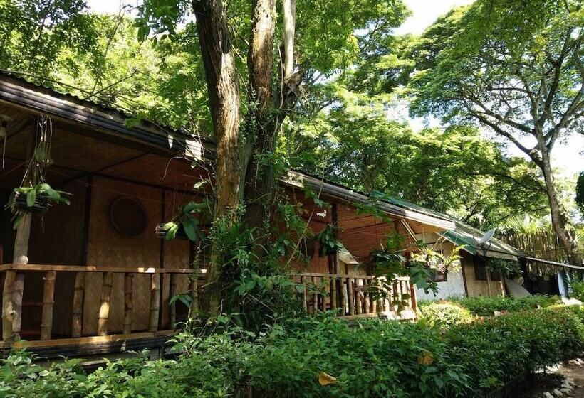 Pensiune Nelly's Nipa Hut