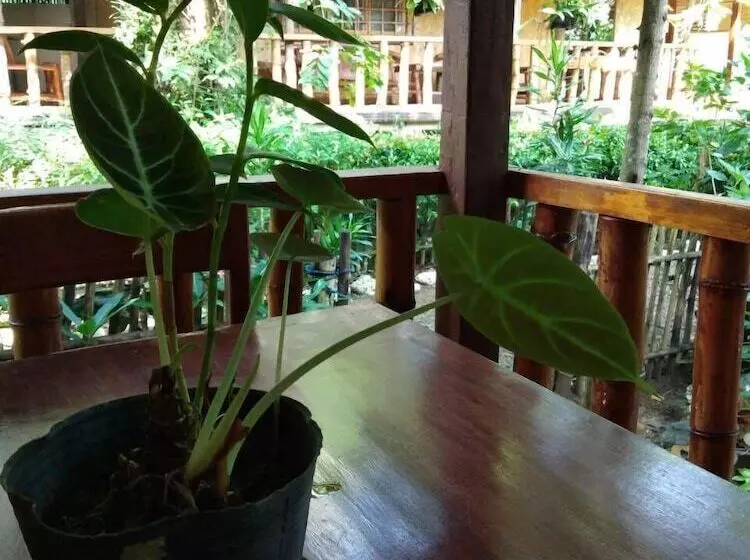 پانسیون Nelly's Nipa Hut
