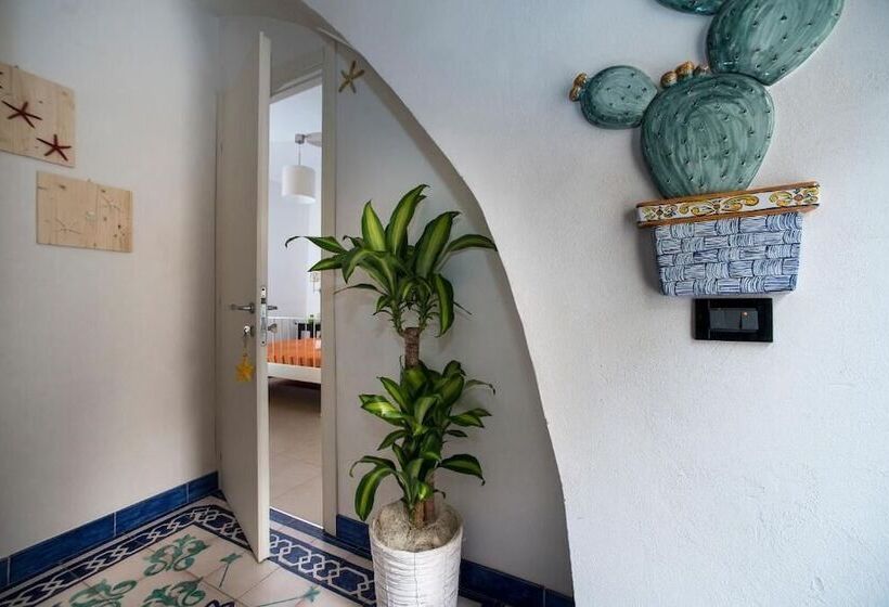 Zammu Bed And Breakfast