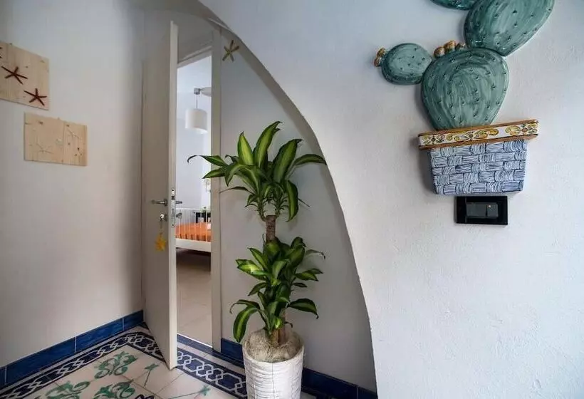 Zammu Bed And Breakfast