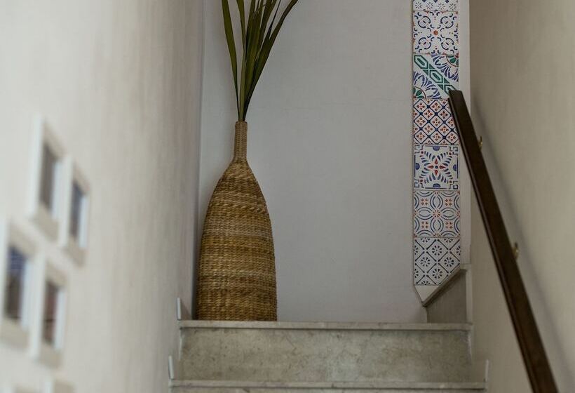 Zammu Bed And Breakfast